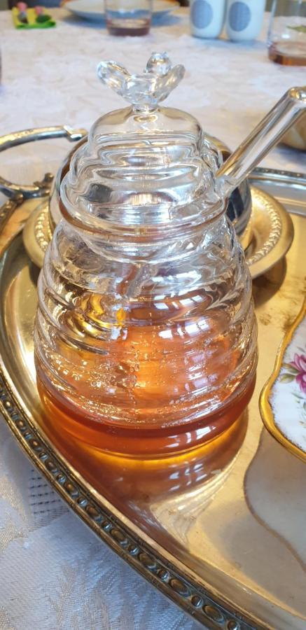 Bed and Breakfast La Tour Noble Saint-Saturnin  Esterno foto